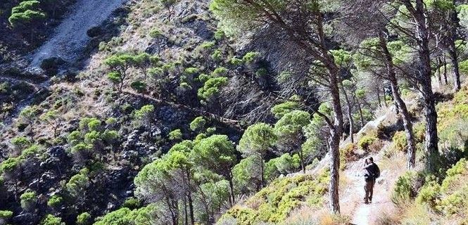 Las directivas de Hábitats y de Aves salvaguardan más de un millón de km cuadrados / Foto: EP - Diputación de Málaga