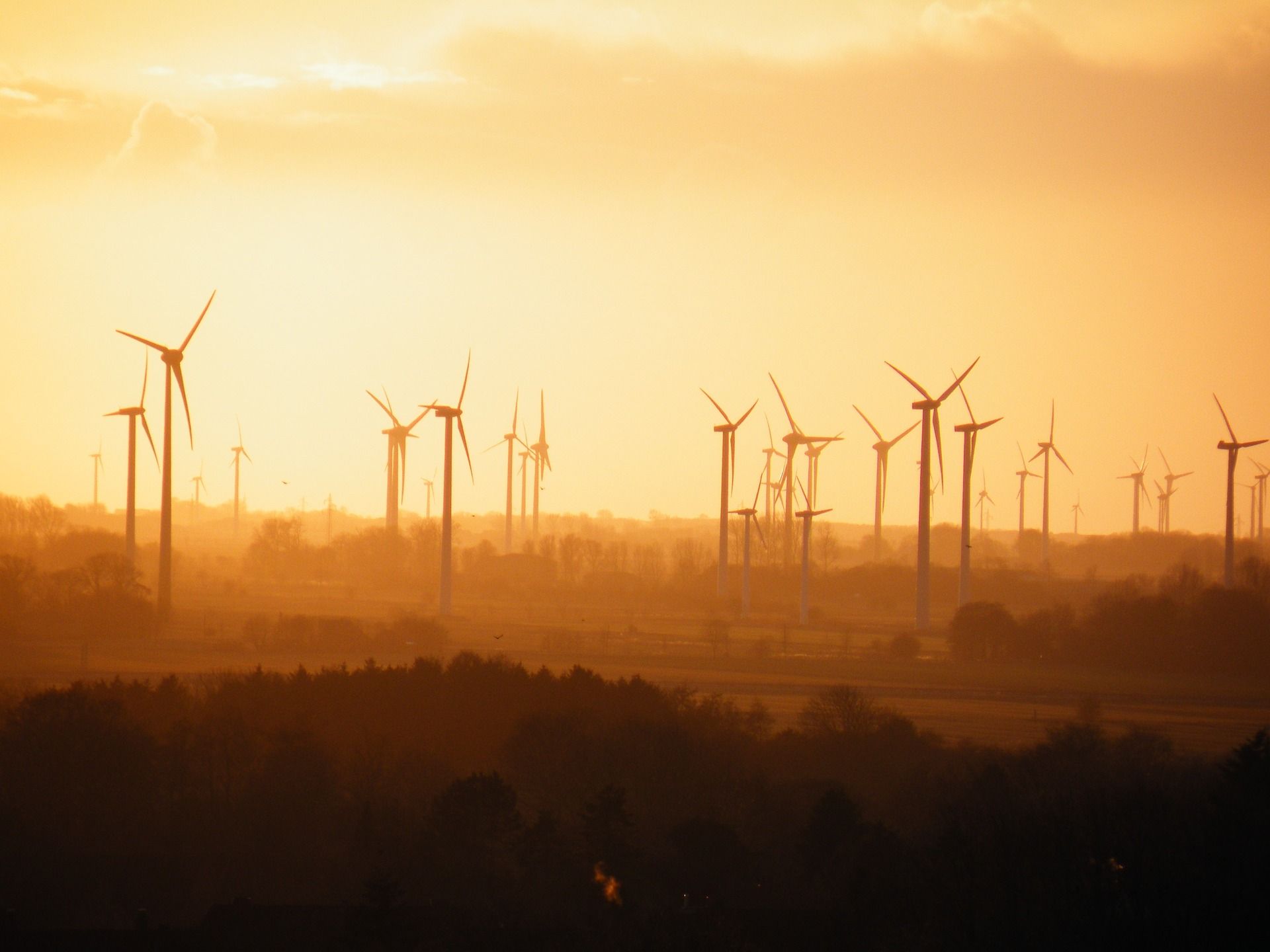 El parque eólico como modelos de línea de alta tensión se construyen sobre zonas de alto valor ecológico / Foto: Thorsten Dahl - Pixabay