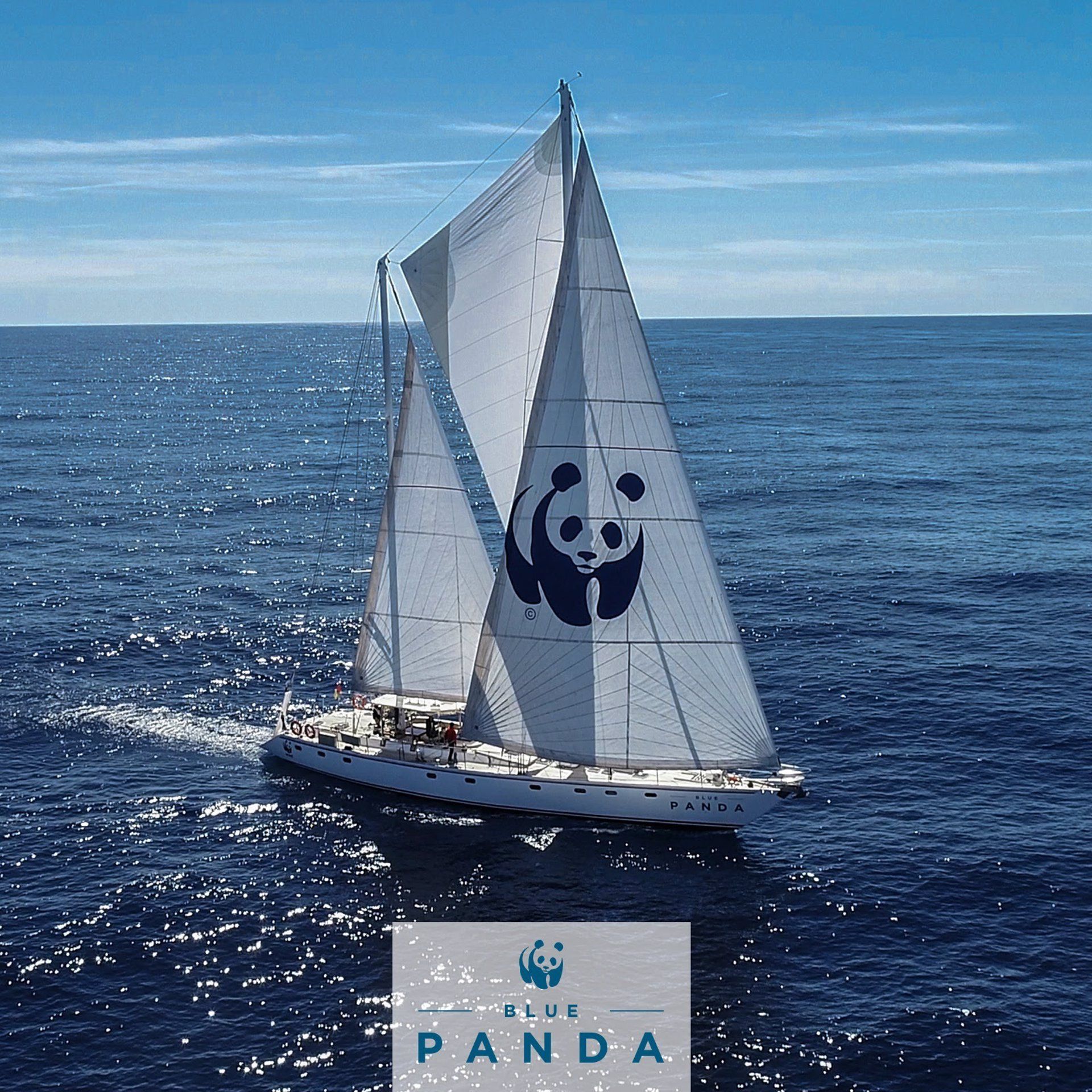 El velero de WWF, 'Blue Panda', surcará áreas marinas protegidas del Mediterráneo / Foto: EP