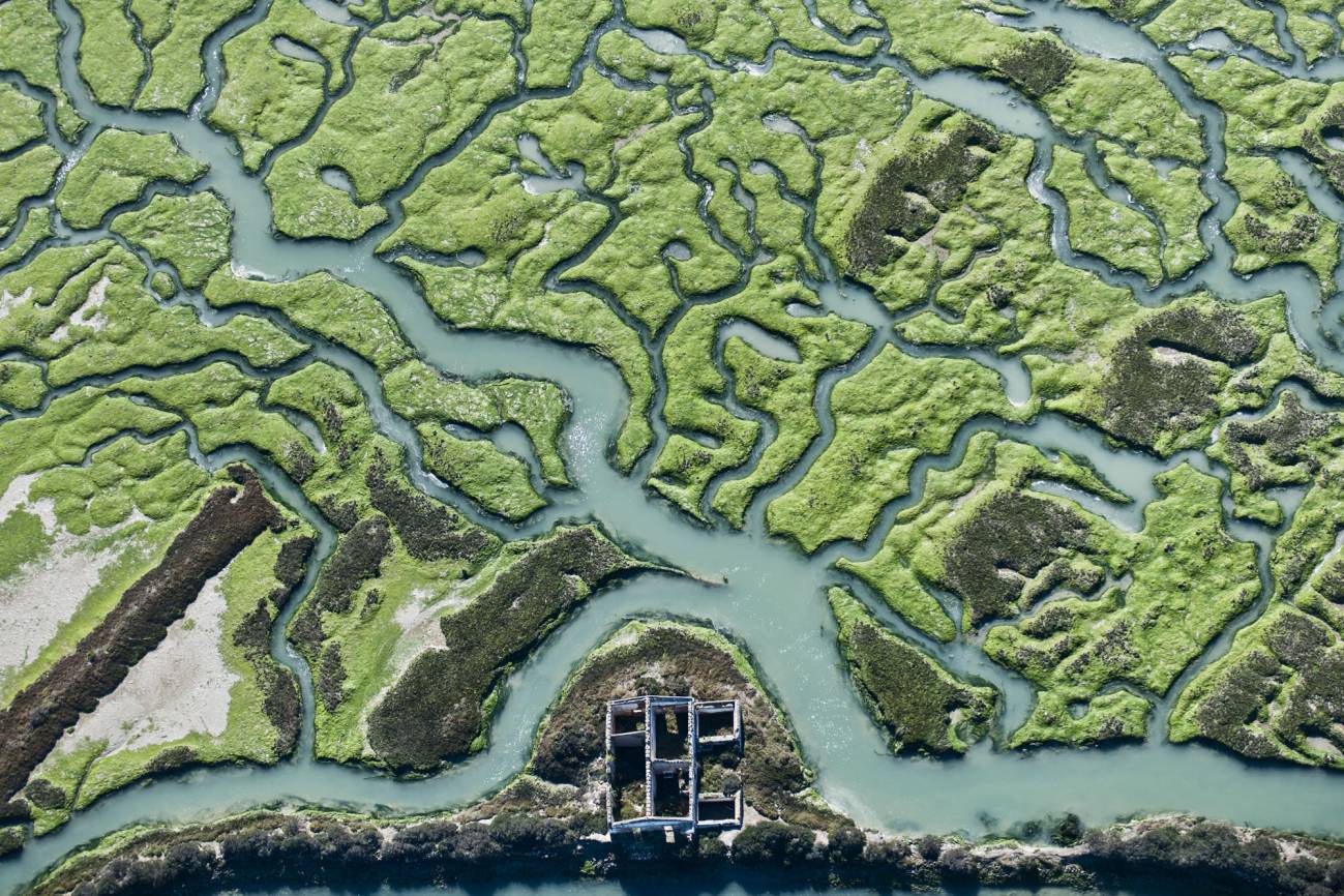 Vista aérea de las marismas de Doñana / Foto: SINC