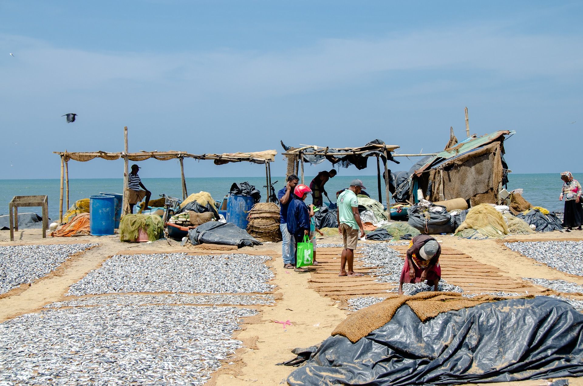 Oceana insta a poner freno a las subvenciones pesqueras perjudiciales. Para millones de personas el pescado supone hasta el 60% de su dieta alimentaria / Foto: Pixabay