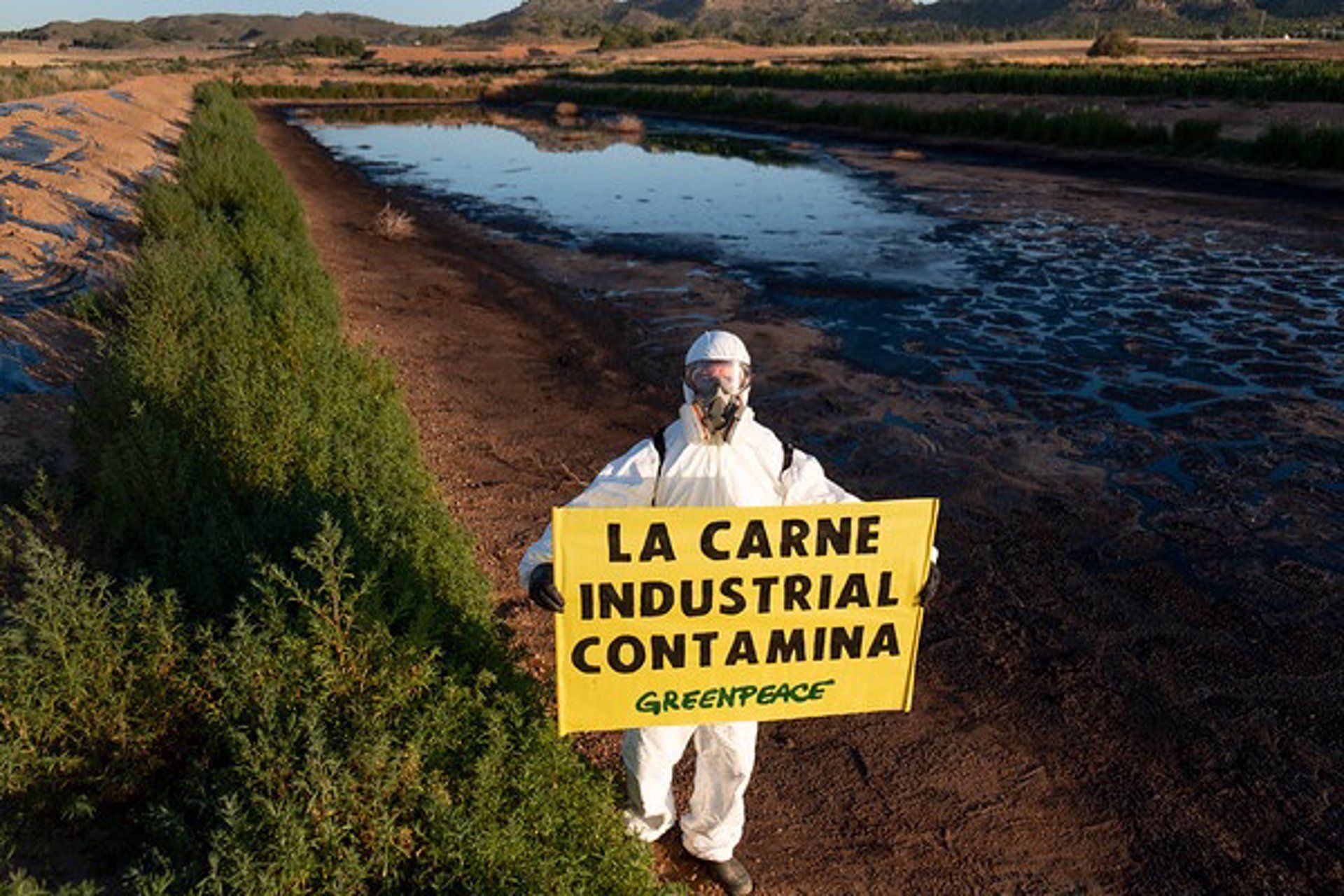 Campaña de Greenpeace contra la proliferación de las macrogranjas / Foto: EP