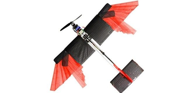 Las alas le permiten volar a gran velocidad a través de espacios estrechos / Foto: EP - EPFL