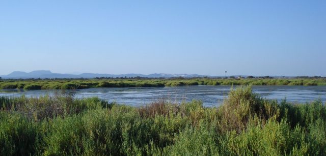 Es Salobrar de Campos es el segundo humedal de Mallorca. Desde 2017 forma parte del Parque Natural Marítimo Terrestre es Trenc-Salobrar de Campos / Foto: Wikimedia Es Salobrar de Campos es el segundo humedal de Mallorca. Desde 2017 forma parte del Parque Natural Marítimo Terrestre es Trenc-Salobrar de Campos / Foto: Wikimedia