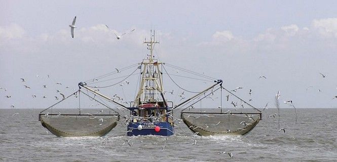 Barco de pesca de cangrejos en Pellworm (Alemania) / Foto: Joachim Müllerchen - Wikipedia