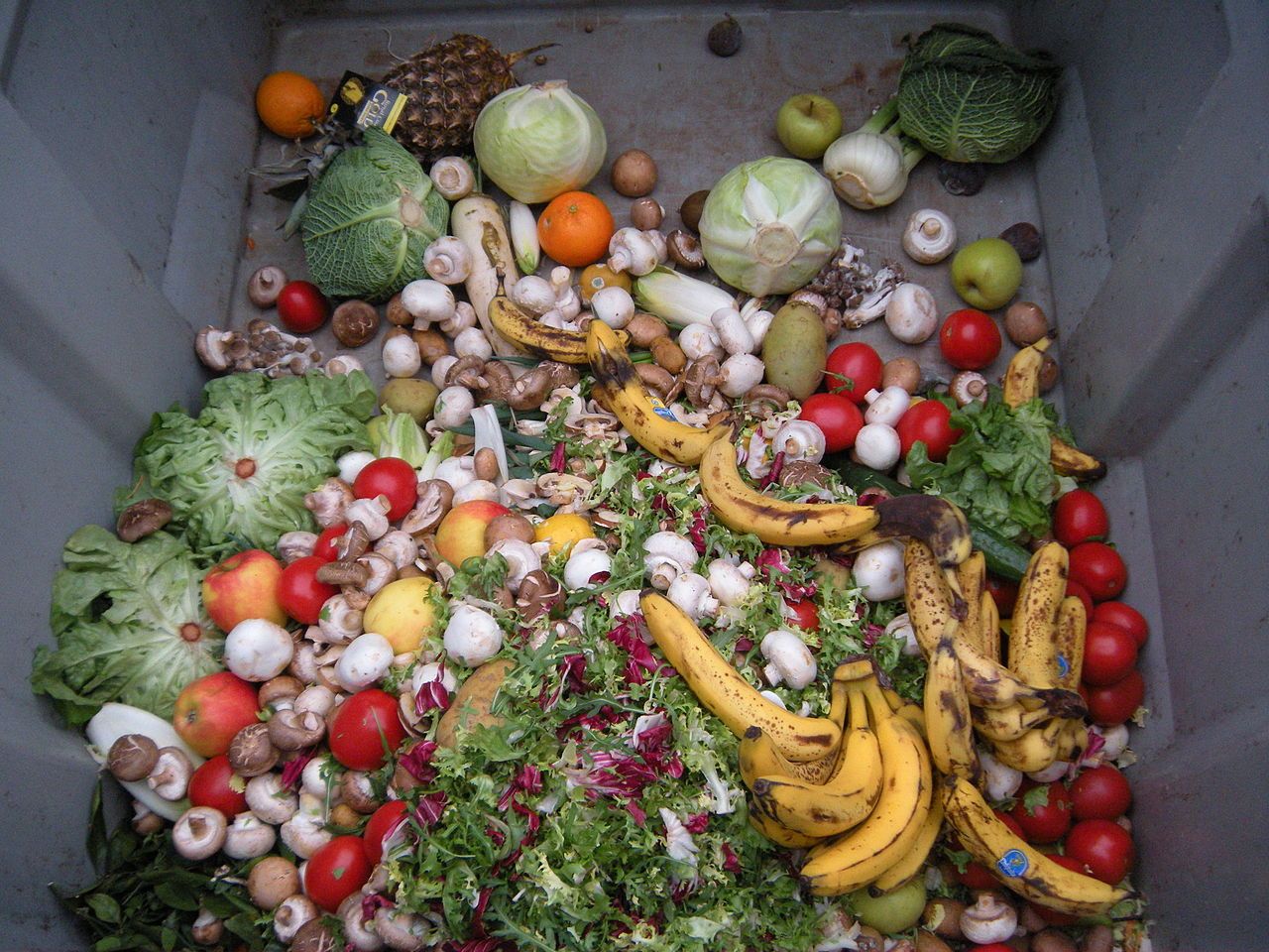 Desperdicio alimentario de frutas y verduras en un contenedor / Foto: Wikimedia
