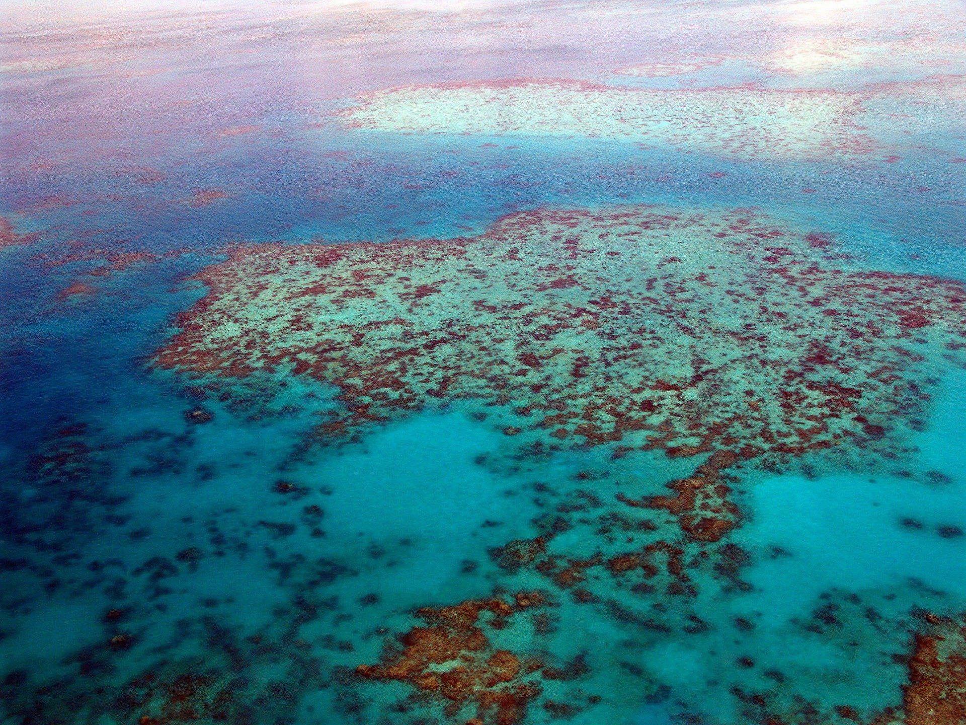 La Gran Barrera de Corales en grave peligro. España en el bloque negacionista / Foto: Gaby Stein - Pixabay