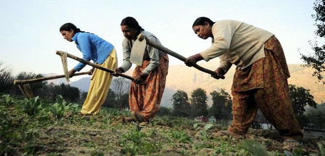 Agricultoras trabajando la tierra cerca da la ciudad de Kullu, Himachal Pradesh, India / Foto: CIAT - Wikipedia