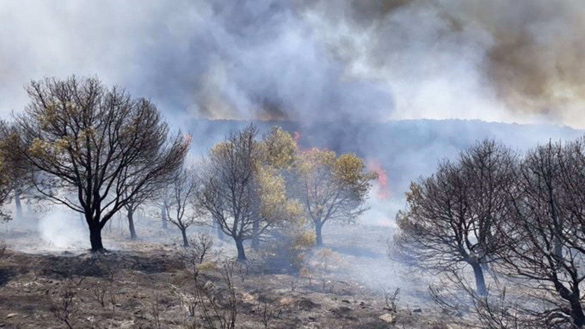 Imagen de uno de los incendios del sur de Turquía / Foto: EP