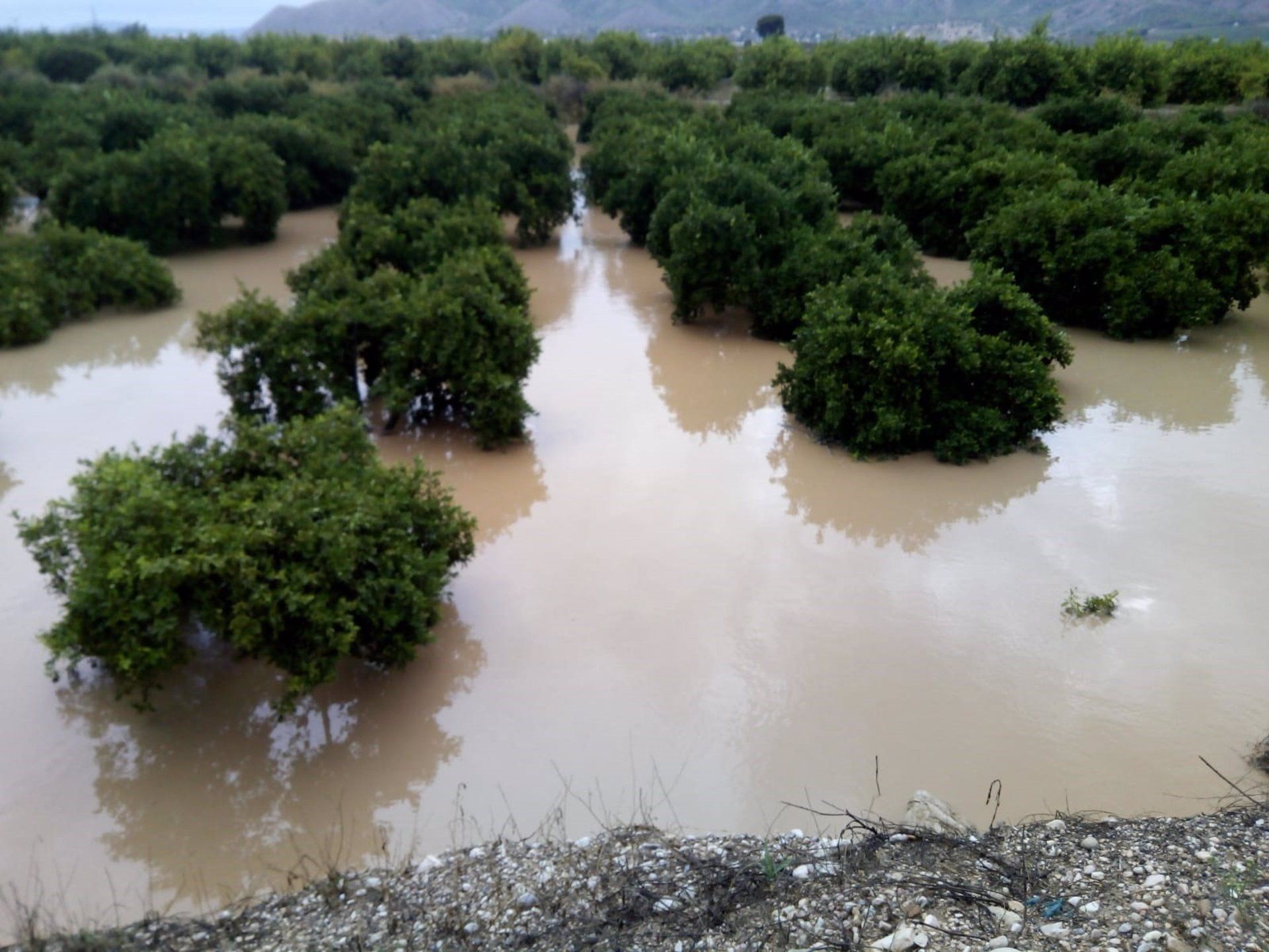 Efectos de la DANA en la Vega Baja / Foto: EP