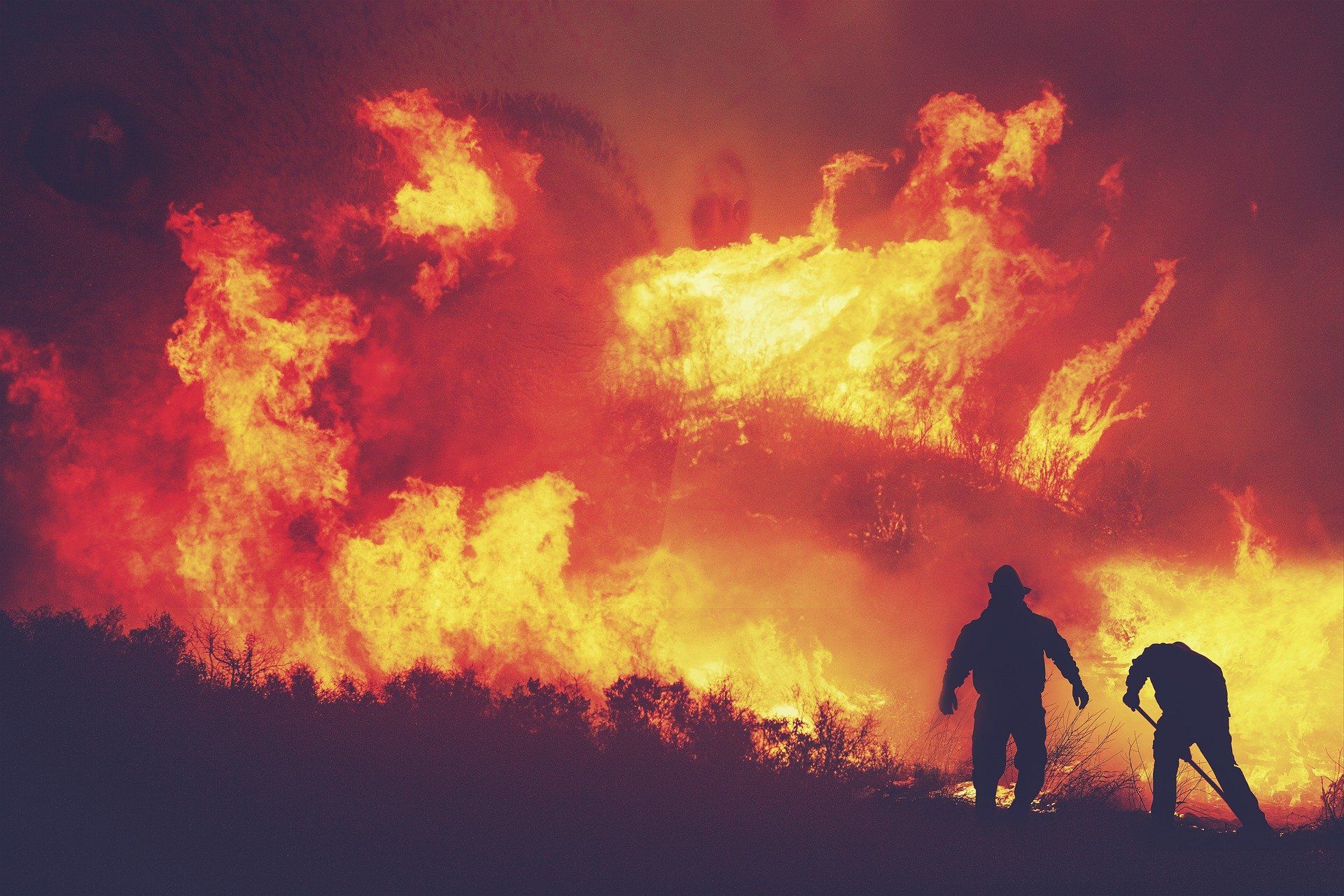 Llamas y fuego pertenecientes a un incendio forestal / Foto: Pixabay