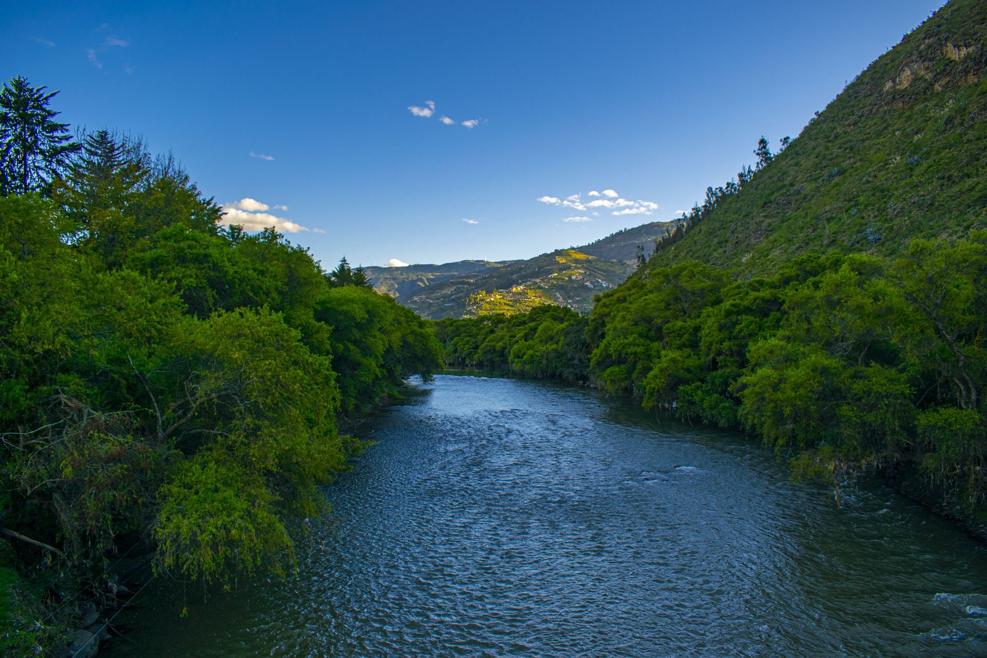 España cuenta con un capital natural único. Más de 85.000 especies  / Foto:  Fernando Zhiminaicela - Pixabay