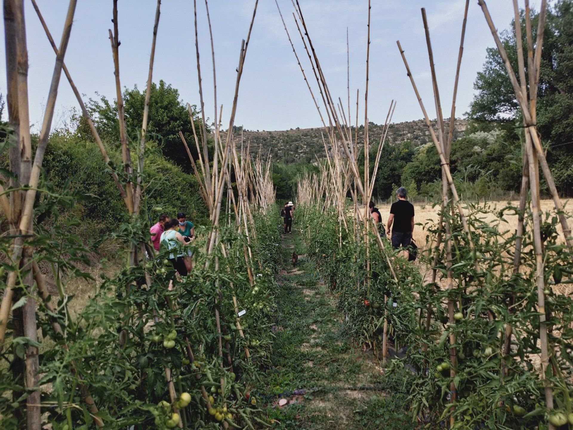 131.000 euros para la biodiversidad cultivada / Foto: EP