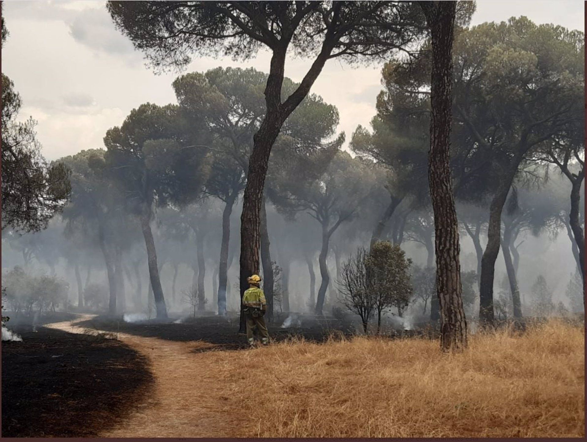Un bombero junto al incendio de El Tiemblo en Castilla y León. Bruselas cree que es posible frenar el cambio climático / Foto: EP