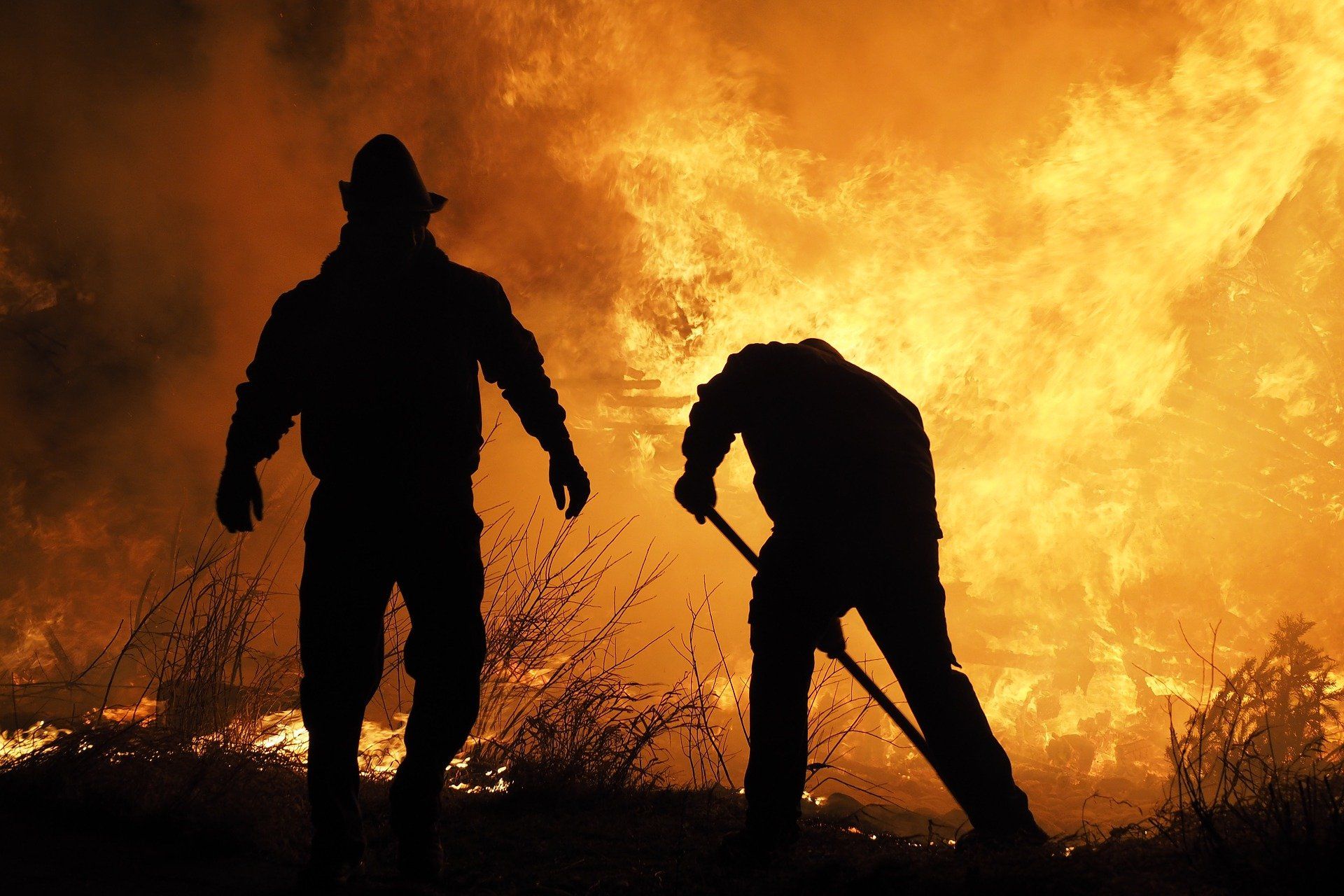 Incendios forestales / Foto: Daniel Zuflucht - Pixabay