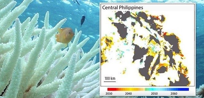En promedio, los arrecifes del mundo empezarán sufrir el blanqueamiento anual en 2043 / Foto: EP - Paul Marshall