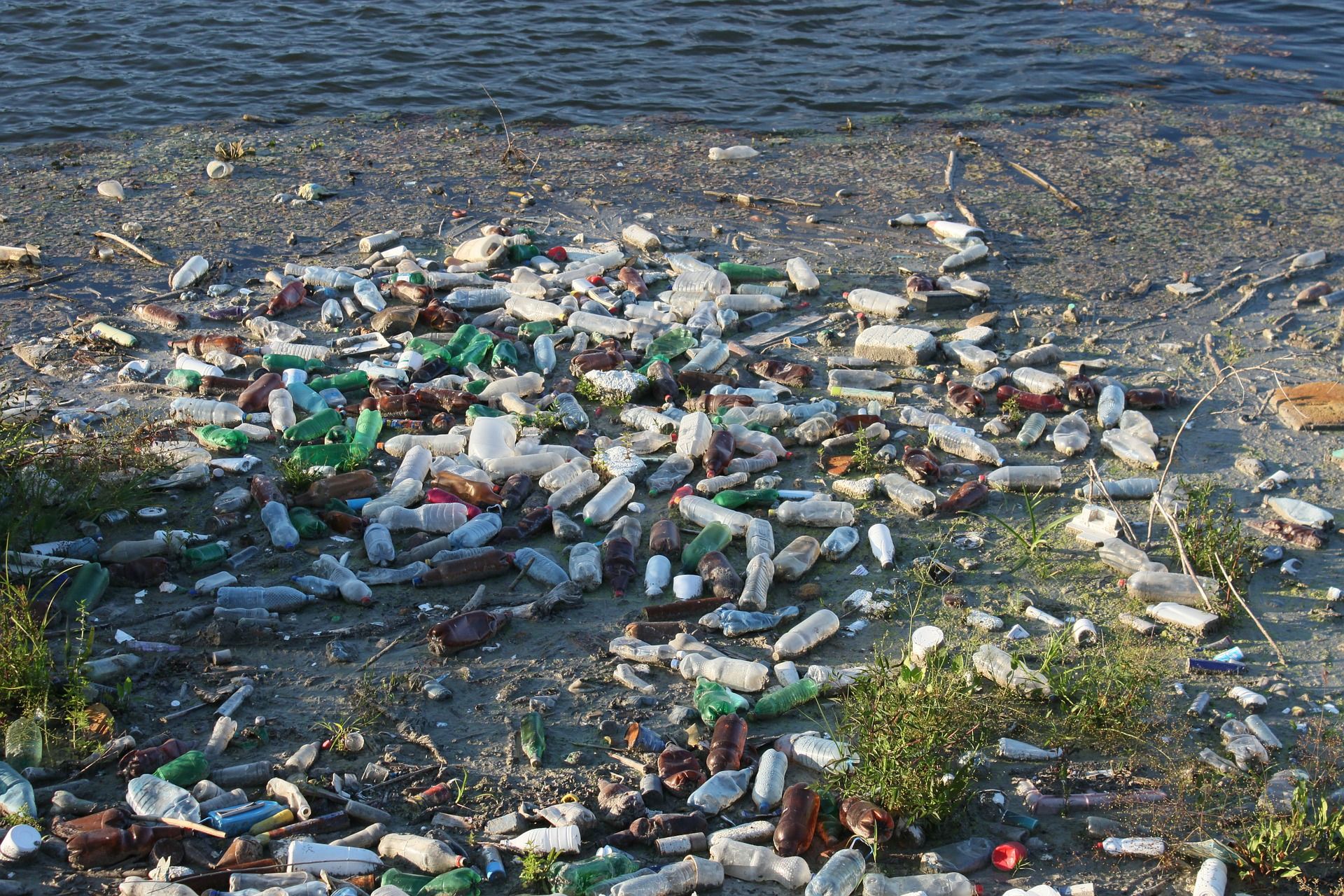 Botellas de plástico abandonadas en el medio ambiente / Foto: Emilian Robert Vicol - Pixabay