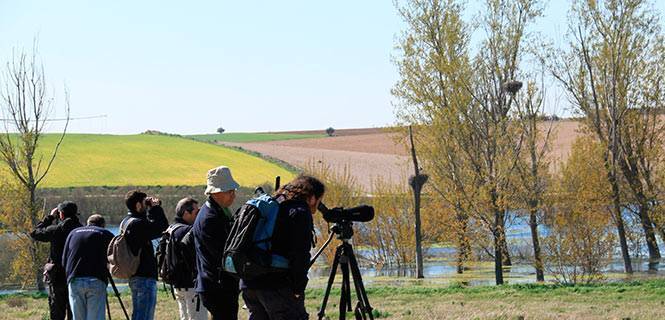 Visitantes en el Parque Nacional Tablas de Daimiel. / Foto: A.Carretero - SEO-BirdLife