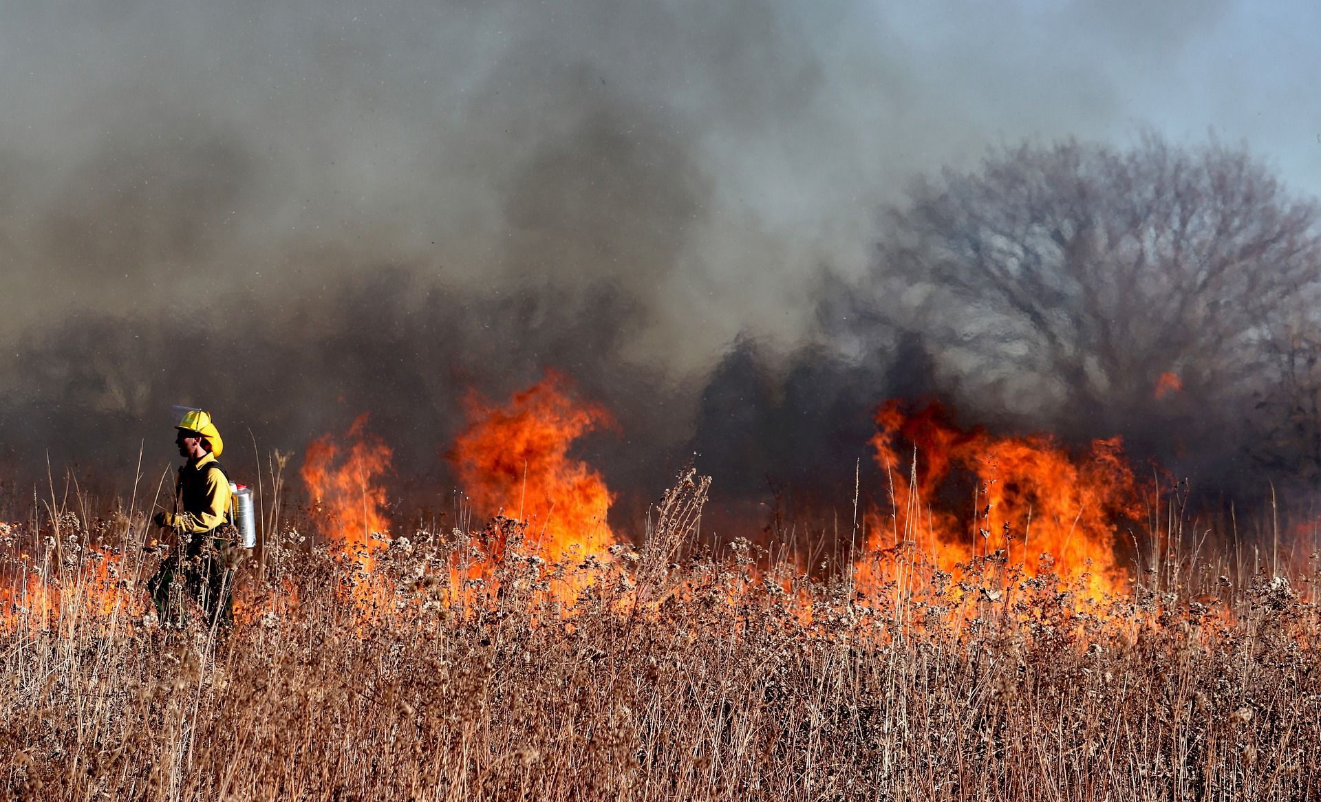 Un bombero tras las llamas de uno de los incendios forestales / Foto: Ted Erski - Pixabay