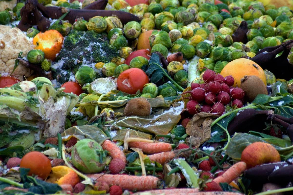 Cómo evitar el despilfarro de alimentos / Foto: SINC