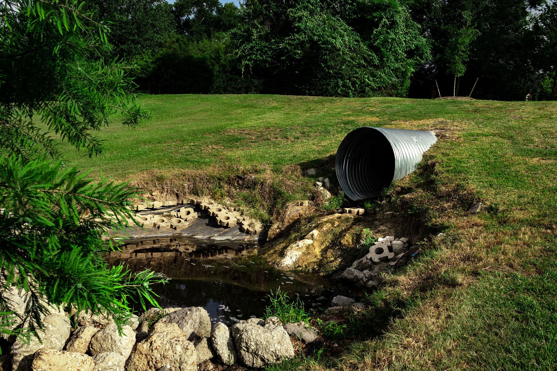 Aumento de la presencia de contaminantes emergentes en el medio ambiente / Foto: Thomas Hoang - Pixabay