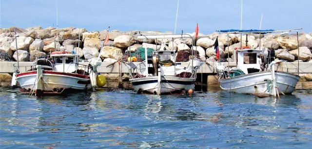 Llaüts, embarcación tradicional de las Islas Baleares. Uno de los valores adicionales de las AMP es mantener flotas activas en un sector castigado y en regresión / Foto: Marilles Foundation Llaüts, embarcación tradicional de las Islas Baleares. Uno de los valores adicionales de las AMP es mantener flotas activas en un sector castigado y en regresión / Foto: Marilles Foundation