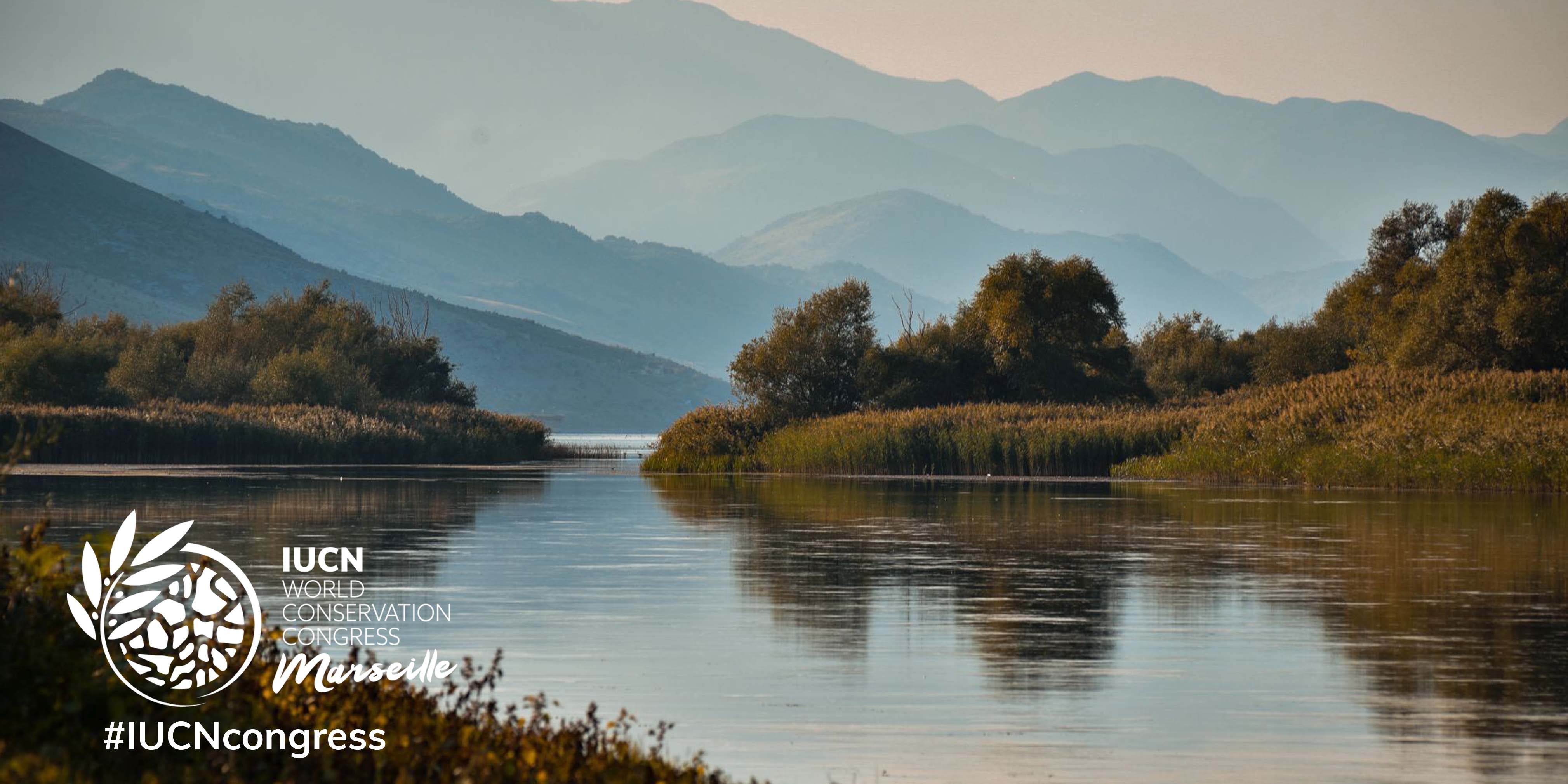 Congreso Mundial de la Naturaleza de UICN / Imagen: UICN