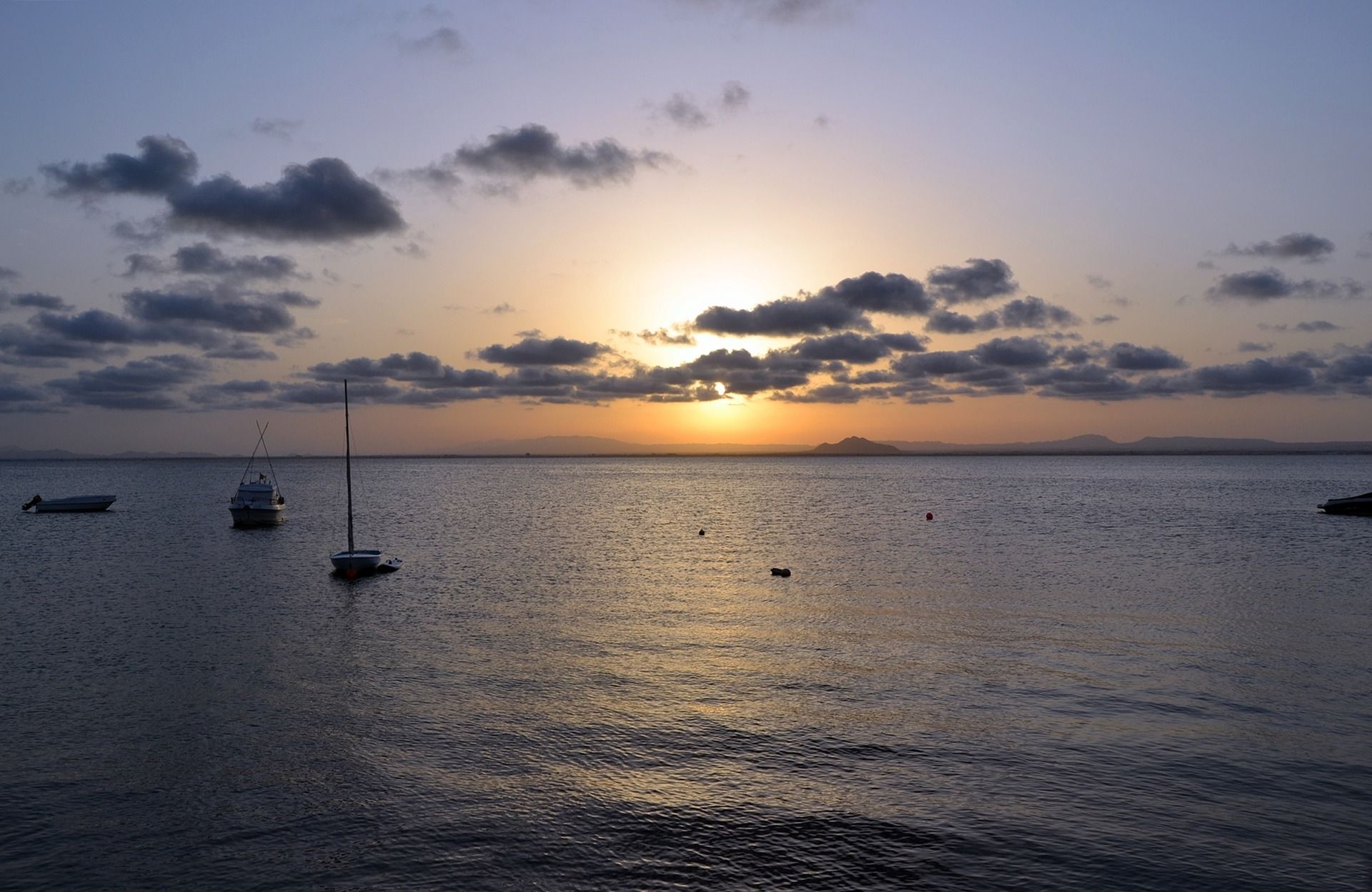 La agricultura química intoxica el Mar Menor.  / Foto:  Julio Hernández - Pixabay