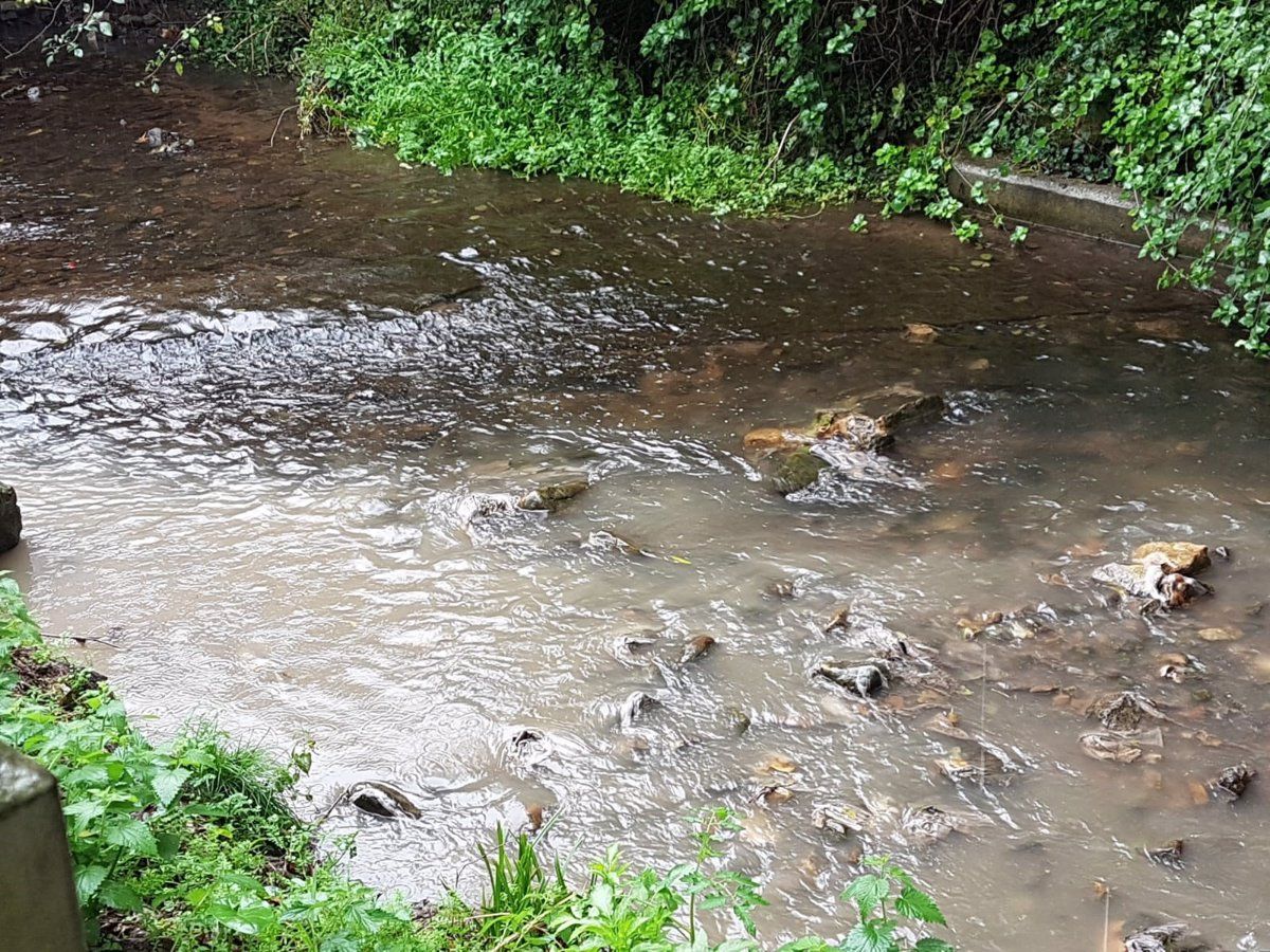 Un vertido de purines al río Tambre deja sin suministro de agua potable a Santiago de Compostela / Foto: EP