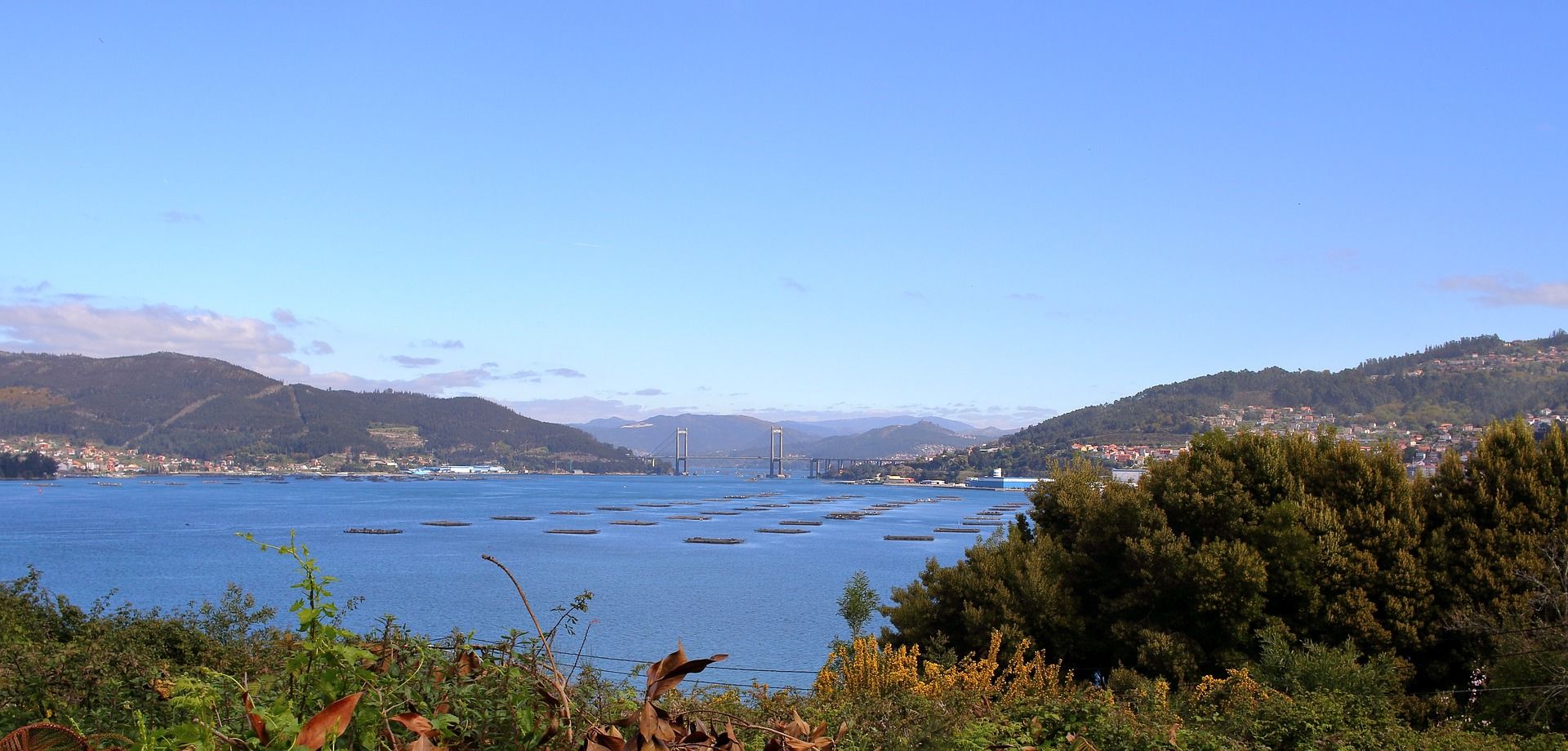 Vistas de la ría de Vigo en la que se han detetectado microplásticos / Foto: Rosen Mascara - Pixabay