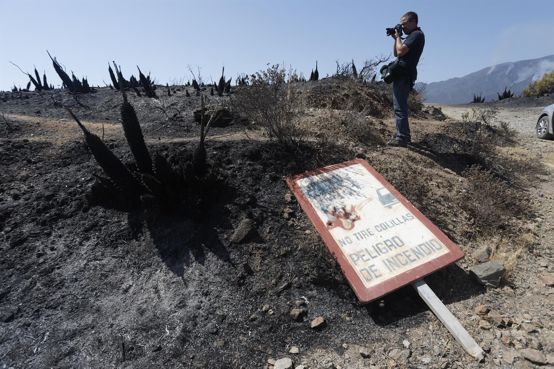 Parajes quemados por el incendio de Sierra Bermeja / Foto: EP