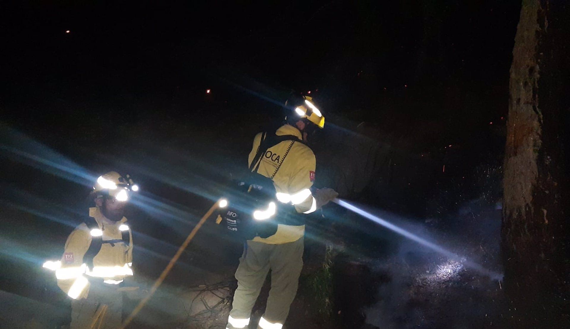 Un efectivo del Infoca interviene esta madrugada en las tareas contra las llamas en Sierra Bermeja / Foto: EP