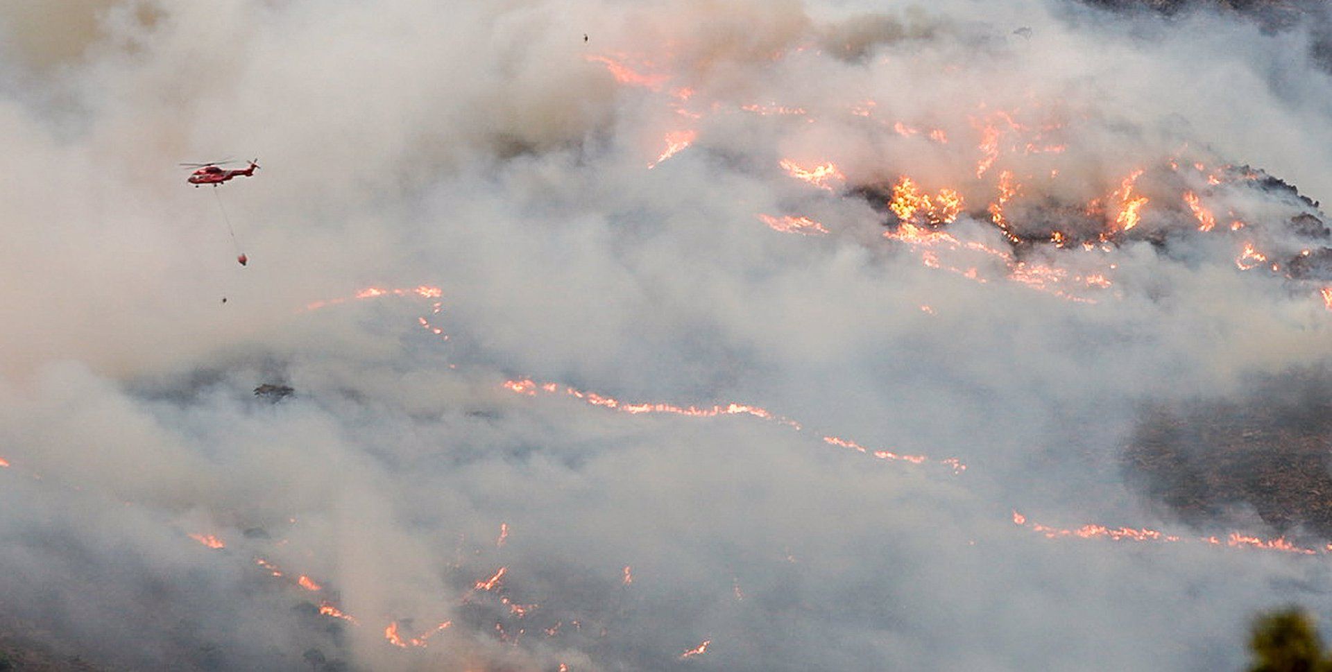 Vistas del incendio en Sierra Bermeja. Veterinarios habilitan puntos de avituallamiento de animales heridos / Foto: EP