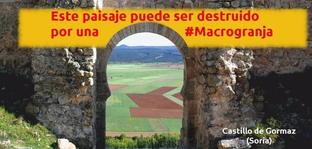Campaña lanzada en Twitter para denunciar el proyecto de macrogranja de cerdos. Castillo de Gormaz / Foto: EP