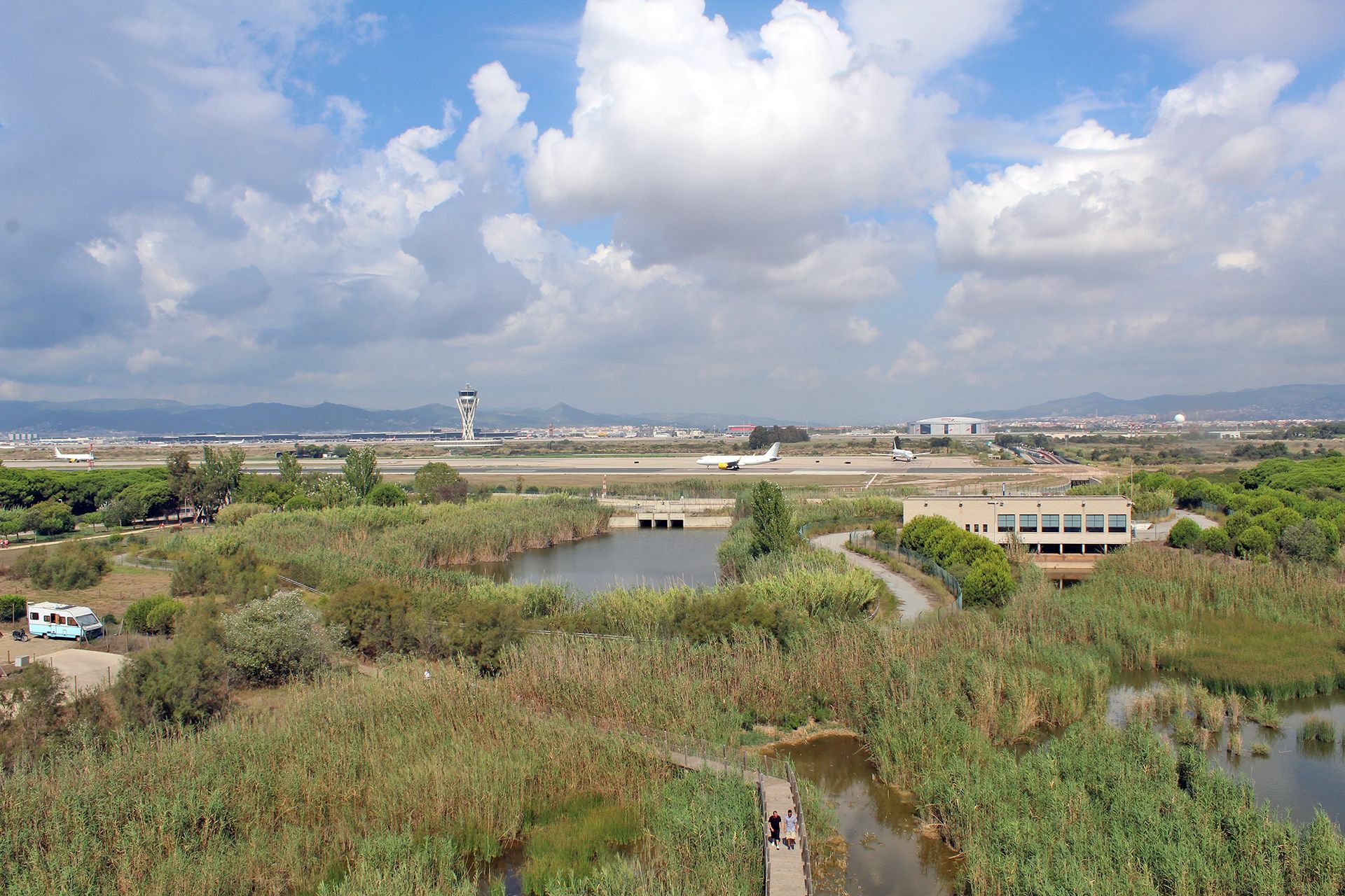 Vistas del aterrizaje de un avión desde unos humedales próximos a La Ricarda en el aeropuerto del Prat, Barcelona / Foto: FFM - EA