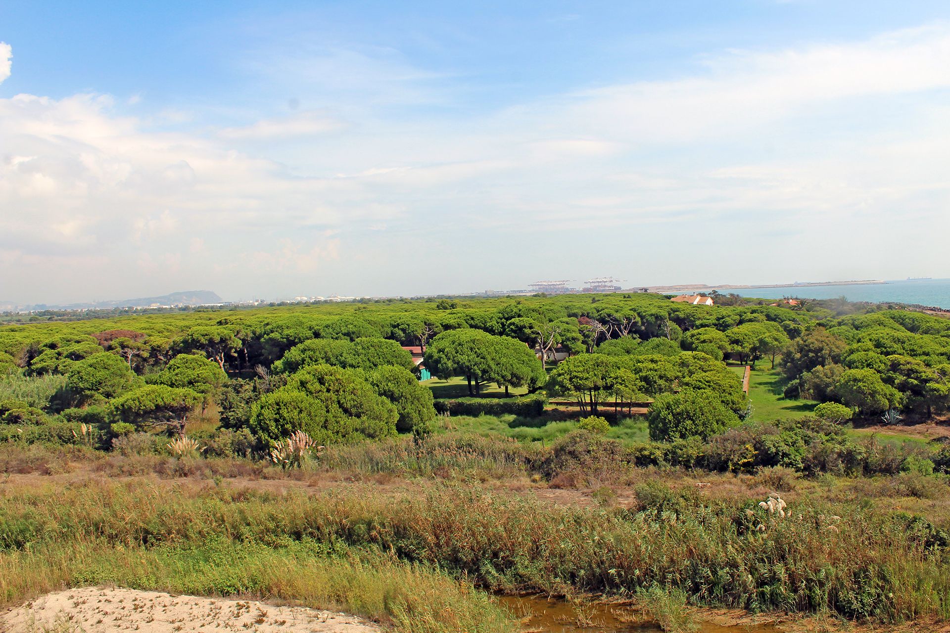 Vistas de los terrenos afectados por ampliación del aeropuerto del Prat junto a La Ricarda / Foto: FFM - EP