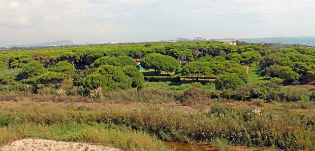 Vistas de los terrenos afectados por ampliación del aeropuerto del Prat junto a La Ricarda / Foto: FFM - EP Vistas de los terrenos afectados por ampliación del aeropuerto del Prat junto a La Ricarda / Foto: FFM - EP