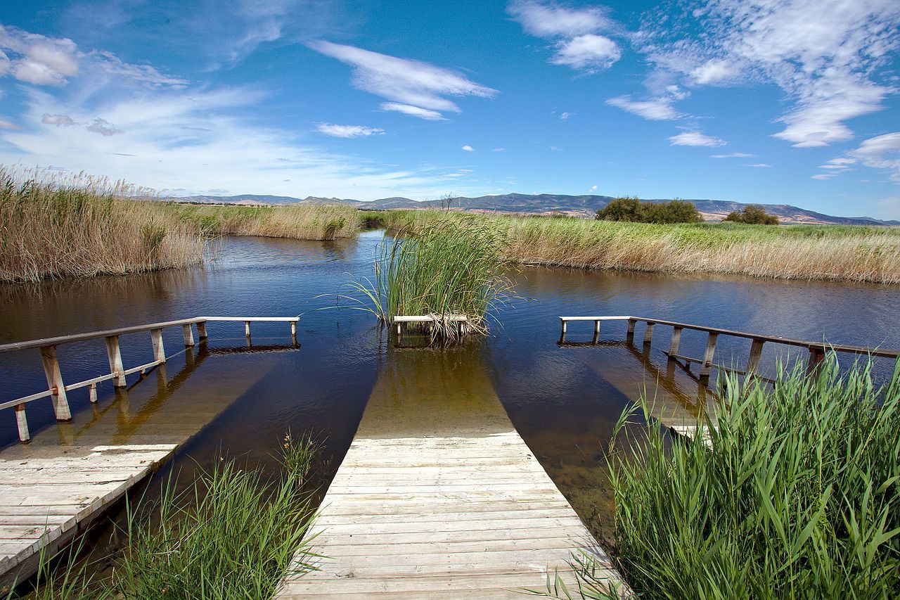 Embarcadero en las Tablas de Daimiel. Se aprueba el bombeo de agua de pozos / Foto: Wikipedia