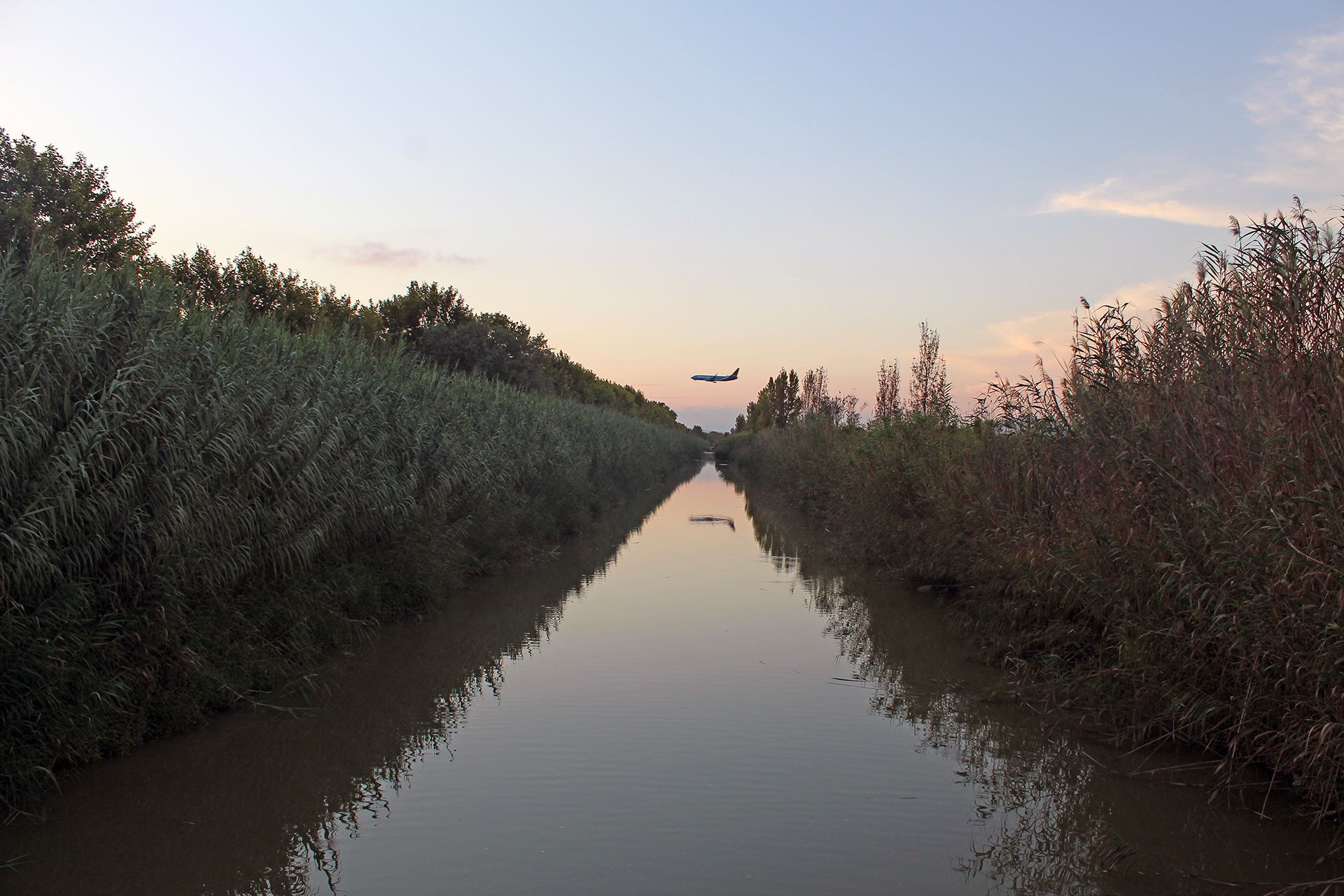 Vistas de un avión que se dirige al aeropuerto de El Prat desde un canal junto a la laguna de la Ricarda / Foto: FFM - EA