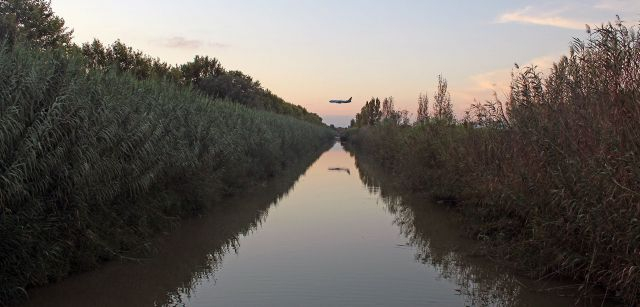 Vistas de un avión que se dirige al aeropuerto de El Prat desde un canal junto a la laguna de la Ricarda / Foto: FFM - EA Vistas de un avión que se dirige al aeropuerto de El Prat desde un canal junto a la laguna de la Ricarda / Foto: FFM - EA