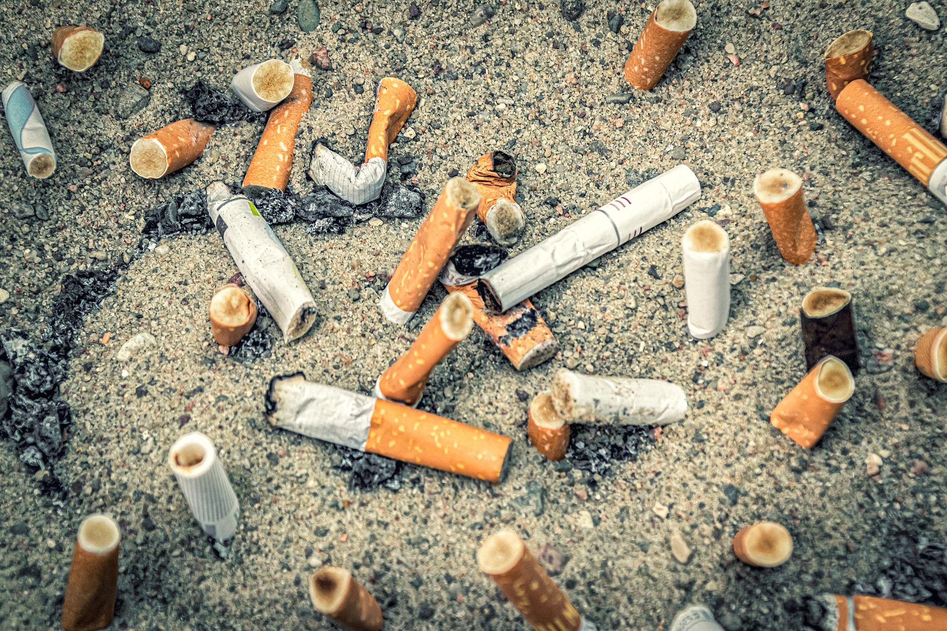 Más País-Verdes Equo propone prohibir fumar en las playas / Foto: analogicus - Pixabay