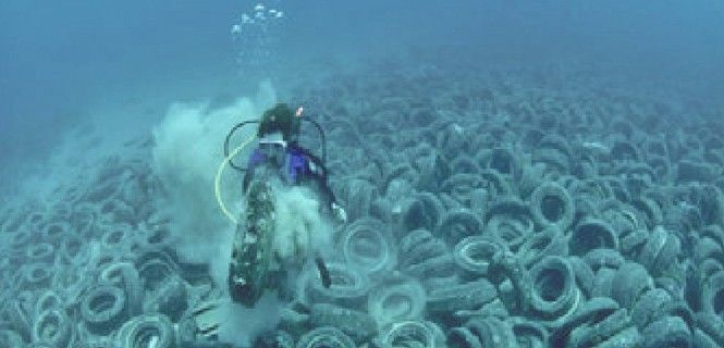 Cada año entran en el océano entre seis y ocho millones de toneladas / Foto: EA-Steve Spring-Marine Photobank