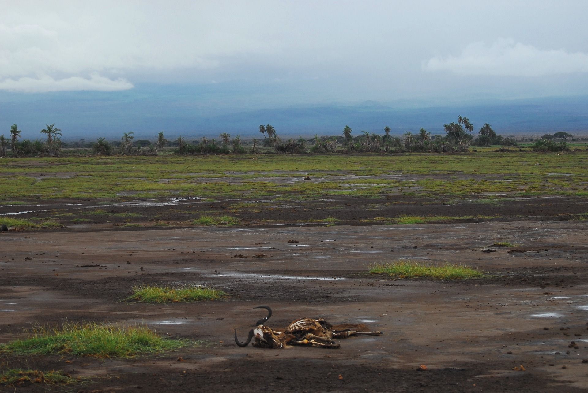 Menos recursos para luchar contra el cambio climático. Países pobres / Foto: Alex Strachan - Pixabay