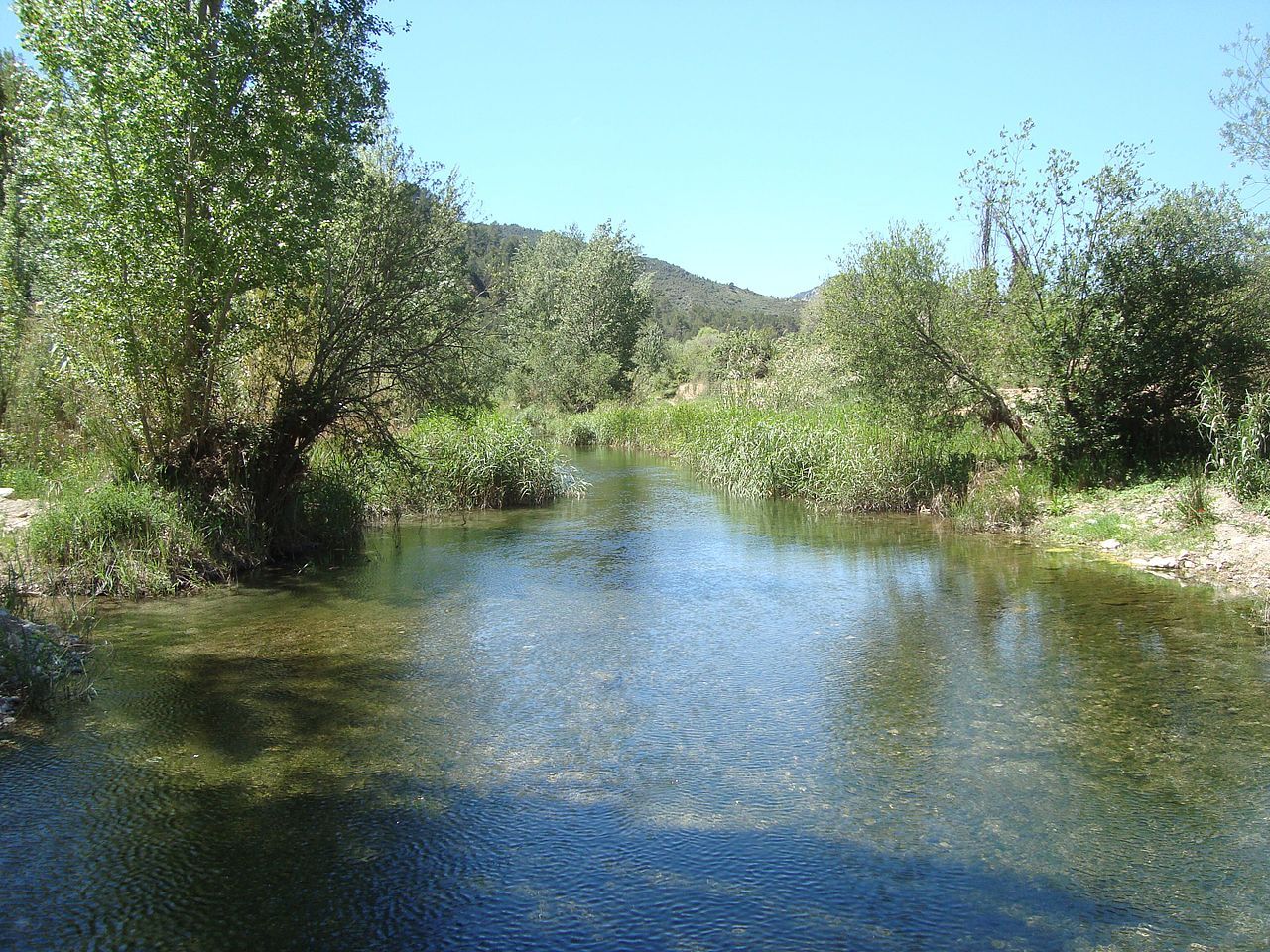 Río Mijares, en riesgo por sobreexplotación de acuíferos en las cabeceras / Foto: Juan Emilio Prades Bel - Wikipedia