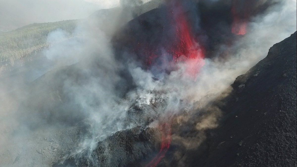 Atención a los animales afectados por la erupción del volcán de ‘Cumbre Vieja’ / Foto:  EP