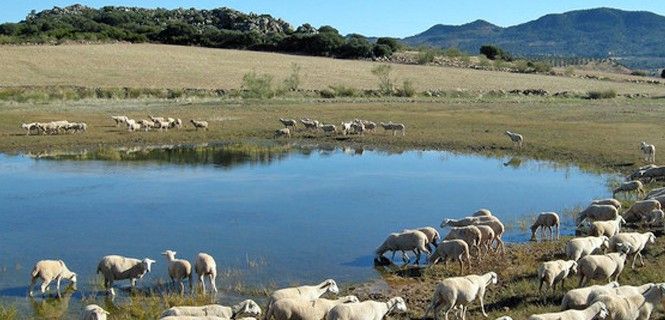 Laguna de Castillo (Génave, Jaén) / Foto: UJA