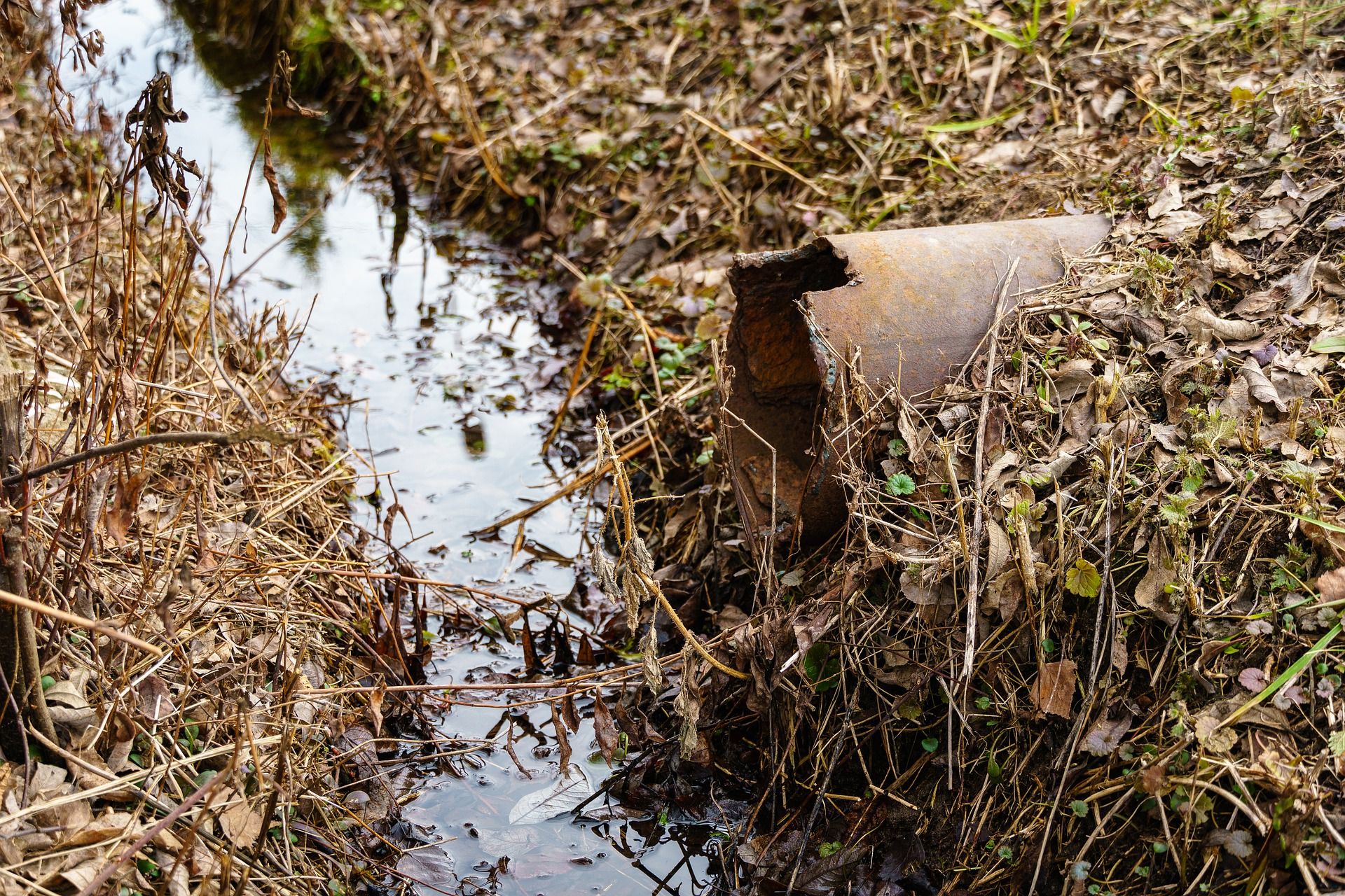 Vertidos contaminantes / Foto:  Alexei Chizhov - Pixabay