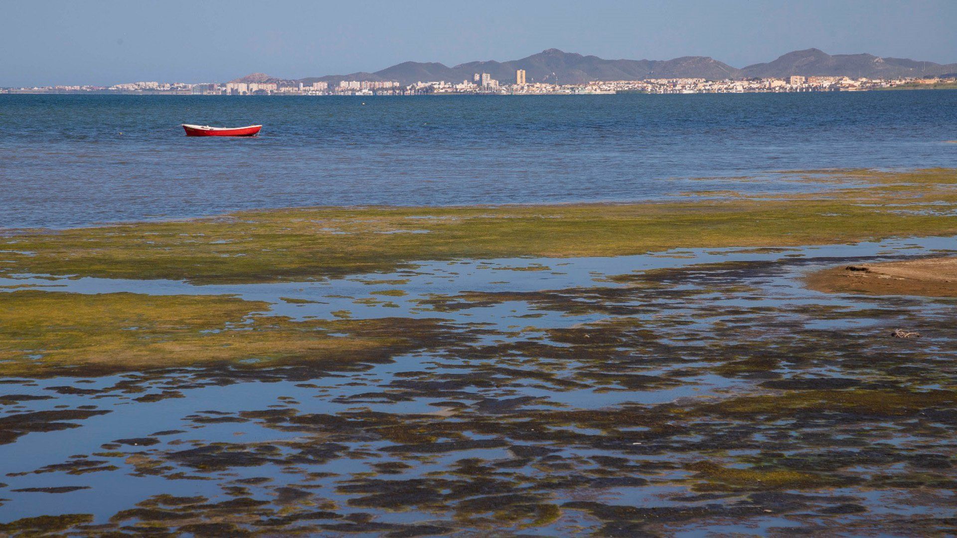 Tasa ambiental al agronegocio para financiar la recuperación del Mar Menor es rechazada / Foto: EP