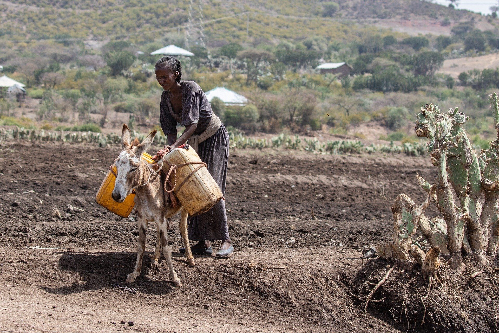 Una mujer trabaja en el cambpo. Cambio climático y pobreza, la encrucijada / Foto: Pixabay