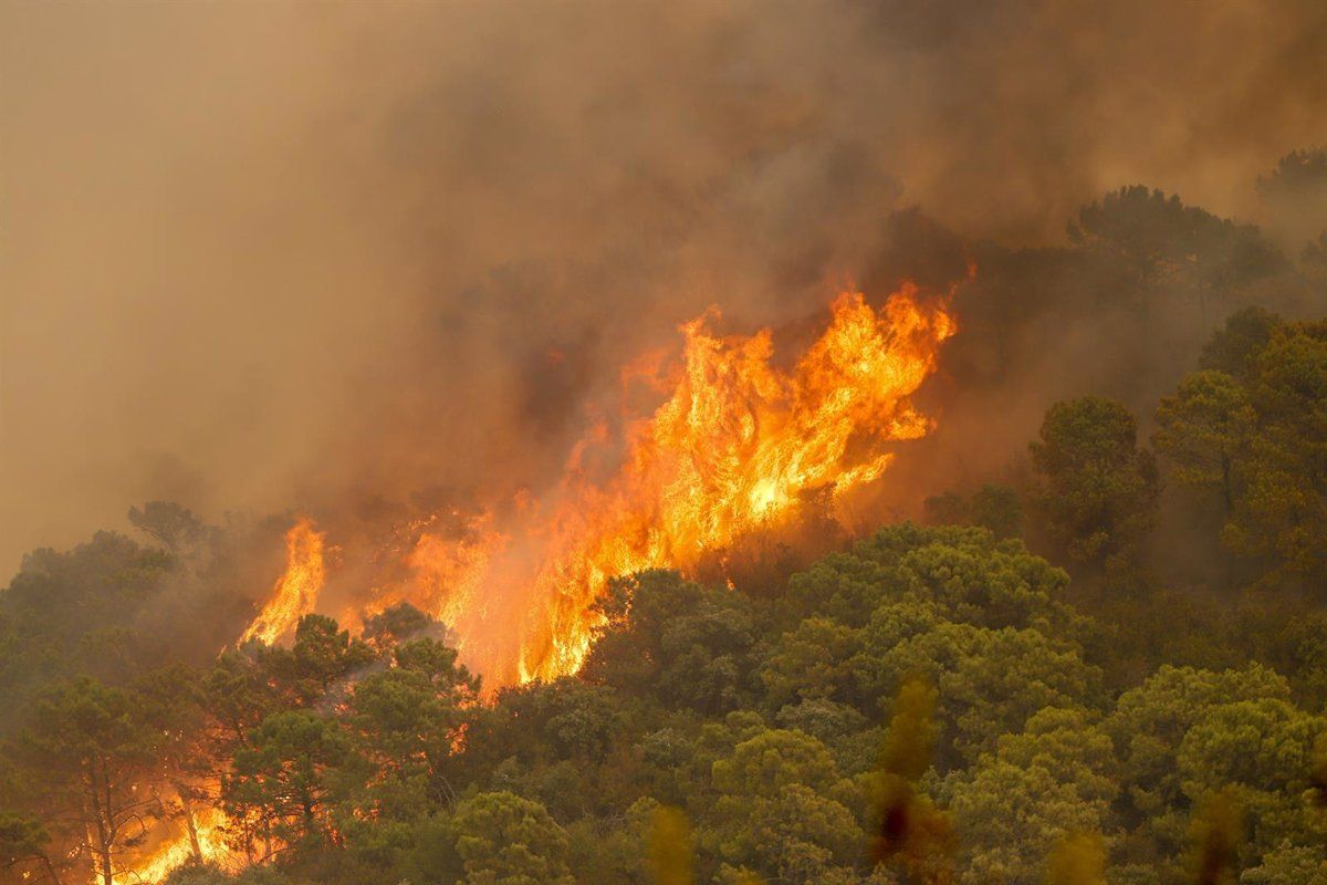 Vistas de las llamas incendio de Sierra Bermeja / Foto: EP